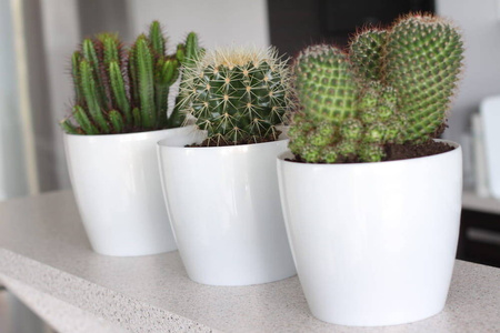 Osłonka Doniczka Ø210 mm Magnolia – Zielona – Lamela