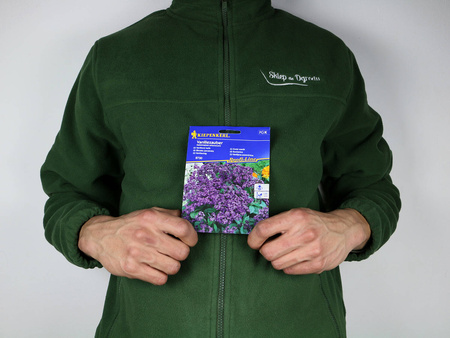 Heliotrop Peruwiański 'Vanillezauber' – Kiepenkerl
