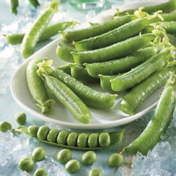 Groch 'Vitara' – Wczesny I Odporny – Kiepenkerl