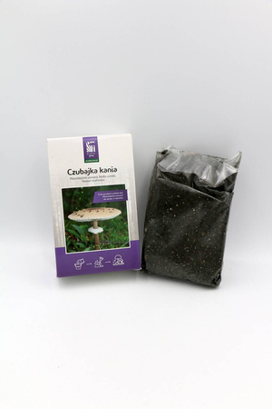 Czubajka Kania – Grzybnia Do Ogrodu – 750 ml Exotic Grow Planto