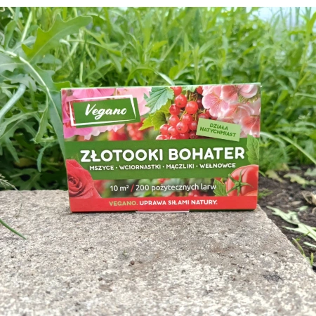 Złotooki bohater Vegano – 600 larw na mszyce, wciornastki, mączliki i wełnowce – 30 m² ochrony
