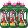 Nawóz do roślin kwitnących z potasem - do surfinii, pelargonii, begonii, fuksji – 5 x 1000 ml Flower Power Vegano