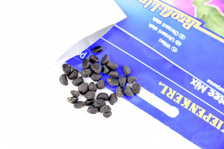 Wilec 'Picotee' – Mix Nasiona – Kiepenkerl