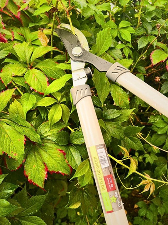 Nożyce do gałęzi 66 cm Green Star