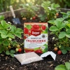 Nawóz do truskawek malin i poziomek z mikroelementami – 1 kg Target