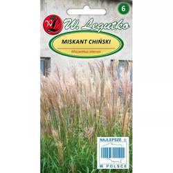 Miskant Chiński – Legutko