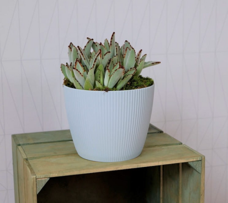 Osłonka Doniczka Ø220mm Magnolia Eco Wood Jumper – Zielony Leśny – Lamela