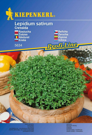 Rzeżucha 'Cressida' – Ogrodowa – Kiepenkerl