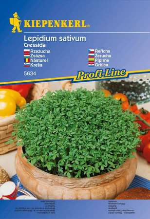 Rzeżucha 'Cressida' – Ogrodowa – Kiepenkerl