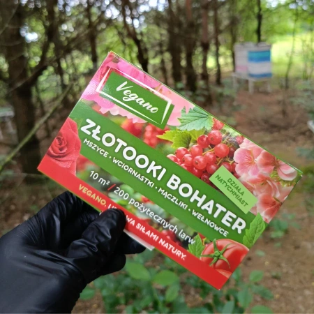Złotooki bohater Vegano – 600 larw na mszyce, wciornastki, mączliki i wełnowce – 30 m² ochrony
