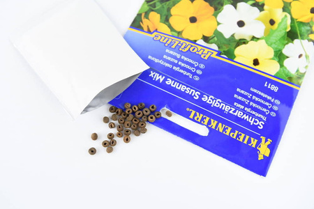 Tunbergia Oskrzydlona – Mix Nasion – Kiepenkerl