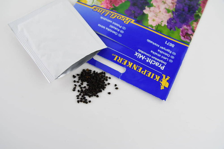 Ostróżka Letnia – Mix Nasion Kiepenkerl