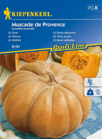 Dynia Olbrzymia 'Muscade de Provenc' – Piżmowa – Kiepenkerl