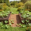 Warzywniak – podwyższona grządka – brąz 150 x 75 x 30 cm Vegano