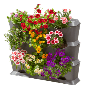 Ogród Wertykalny NatureUp! – Gardena