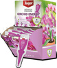 Orchid Energy odżywka do storczyków – 35 ml Target