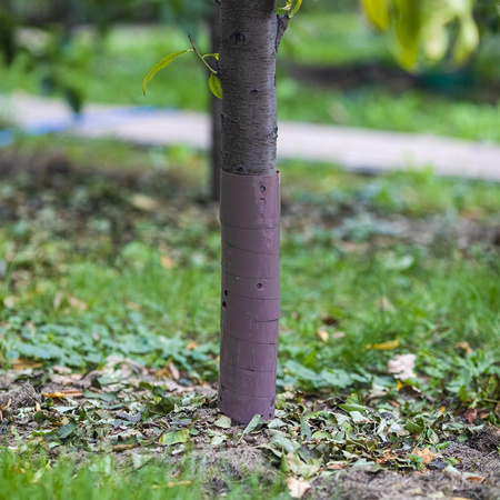 Osłonka Osłona Na Pnie Drzew Owocowych – 60 cm