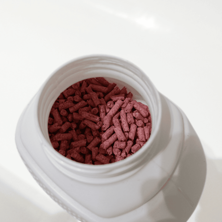 Patenrat Pellet - Granulat Na Myszy i Szczury – 1 kg Target