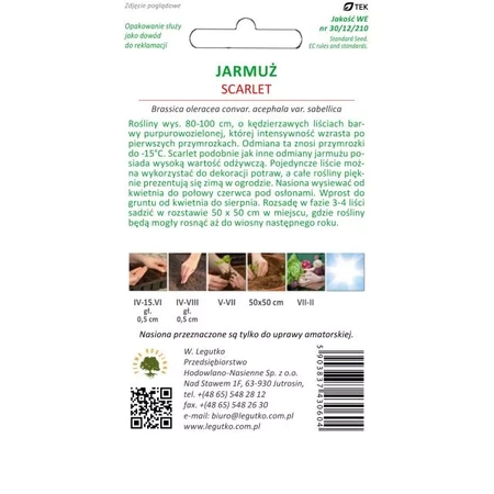 Jarmuż ‘Scarlet’ – 1 g Legutko