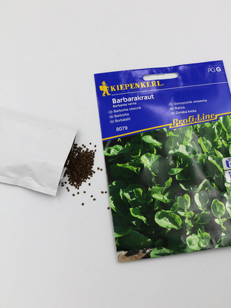 Gorczycznik Wiosenny 'Barbarakraut' – Kiepenkerl