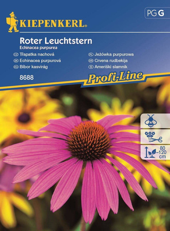 Jeżówka 'Roter Leuchtstern' – Purpurowa – Kiepenkerl