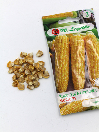 Kukurydza Cukrowa ‘Gucio’ F1 – 10 g Legutko