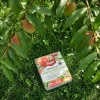 Nawóz do drzew i krzewów owocowych z mikroelementami – 1 kg Target