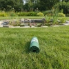 GreenGrass trawa na macie (rolka) z nawozem i hydrożelem 2 x 0,5 x 8 m (8 m²) Vegano