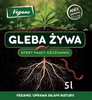 Gleba Żywa (efekt pracy dżdżownic) wermikompost w płynie do warzyw, owoców, trawnika i roślin ozdobnych – 10 l Vegano