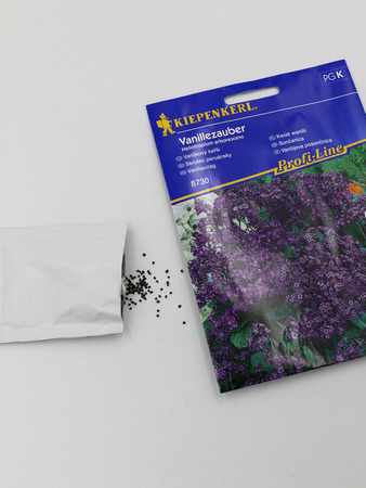 Heliotrop Peruwiański 'Vanillezauber' – Kiepenkerl