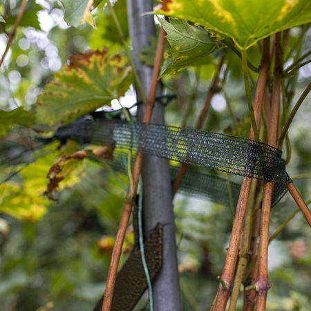Taśma Do Podwiązywania Roślin – 3 cm x 50 m – Biogród