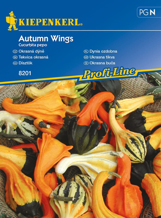 Dynia Ozdobna 'Autumn Wings' – Kiepenkerl