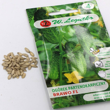 Ogórek 'Brawo' F1 – 2 g Legutko