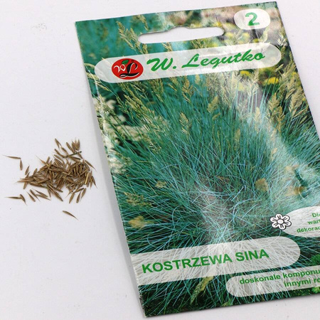 Kostrzewa Sina – Legutko