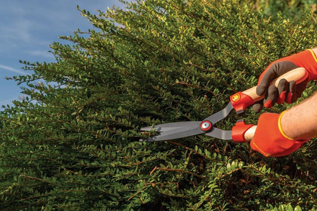 Nożyce Do Bukszpanu – Wolf Garten