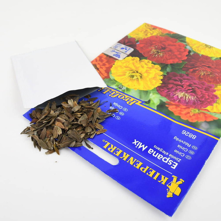 Cynia 'Espana' – Mix – Kiepenkerl