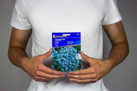 Niezapominajka 'Heavenly Blue' – Kiepenkerl