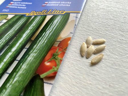 Ogórek 'Saladin' F1 – Długi – Kiepenkerl