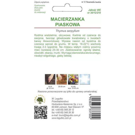  Macierzanka Piaskowa – Legutko
