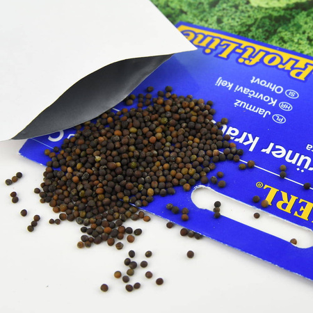 Jarmuż 'Halbhoher Grüner Krauser' – Kiepenkerl