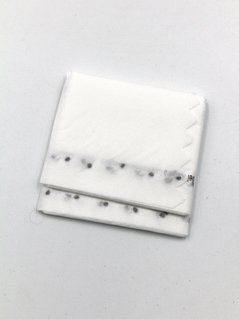 Cebula Dymka – 2 Odmiany Na Taśmie – Kiepenkerl