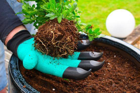 Rękawice Do Ogrodu Z Pazurkami – ZIelone