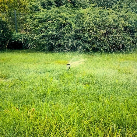 Zraszacz obrotowy Green Star