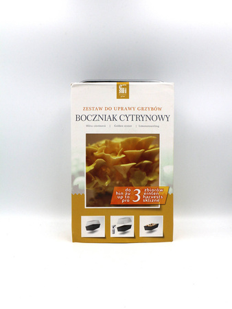 Boczniak Cytrynowy – Zestaw Do Uprawy Grzybów – 3 l Exotic Grow Planto