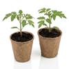 Doniczki z włókna kokosowego okrągłe – średnica 6 cm, wysokość 6 cm x 24 szt. Green Star