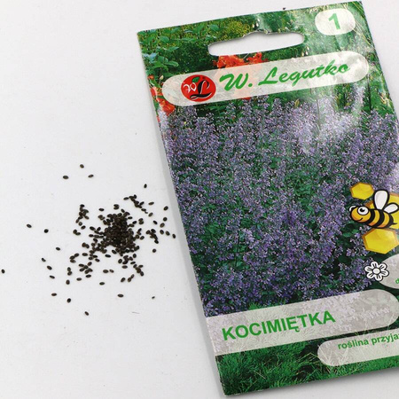 Kocimiętka – Legutko