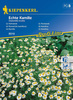 Rumianek – Leczniczy – Kiepenkerl