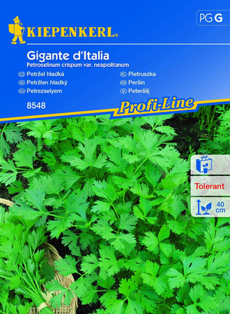 Pietruszka naciowa 'Gigante d'Italia' – Kiepenkerl