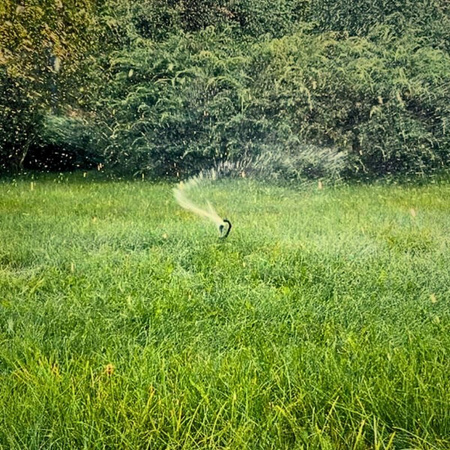 Zraszacz obrotowy Green Star