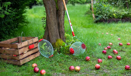 Zbieraczka Do Owoców – Multi-Star – Wolf Garten